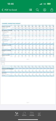 PDF в Excel для iOS — скриншот 4