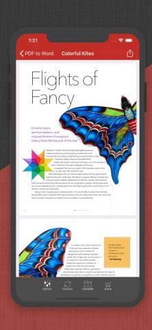 PDF в Word для iOS — скриншот 2