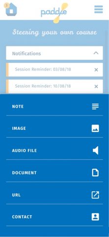 Paddle для iOS — скриншот 2