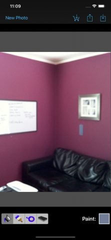 Paint Tester для iOS — скриншот 1