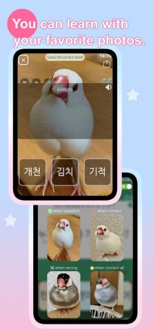 Patchim Training:Learn Korean для iOS — скриншот 4