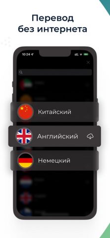Переводчик голоса и текста Duo для iOS — скриншот 5