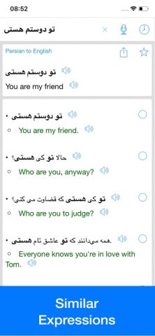 Persian Translator Offline для iOS — скриншот 4