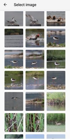 Photo Compare для Android — скриншот 2