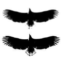 Photo Compare для Android