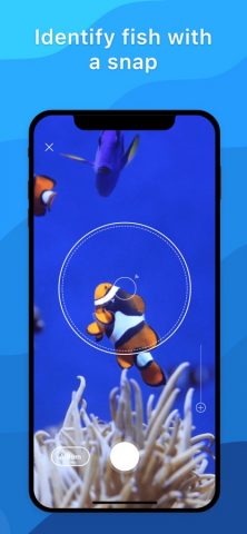 Picture Fish — Fish Identifier для iOS — скриншот 1