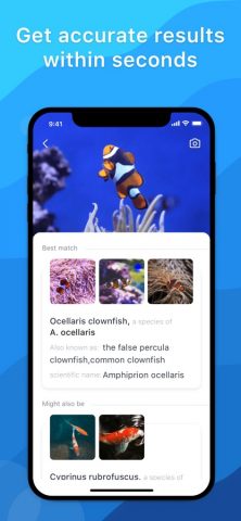 Picture Fish — Fish Identifier для iOS — скриншот 2