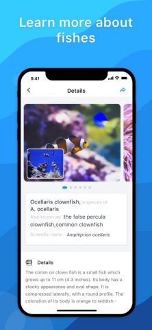 Picture Fish — Fish Identifier для iOS — скриншот 4