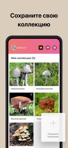 Picture Mushroom — гриб для iOS — скриншот 5