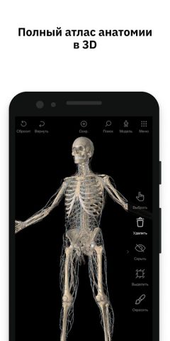 Pirogov Anatomy для Android — скриншот 1
