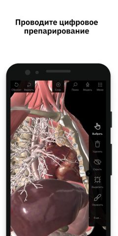 Pirogov Anatomy для Android — скриншот 3