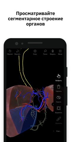 Pirogov Anatomy для Android — скриншот 5