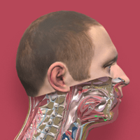 Pirogov Anatomy для iOS