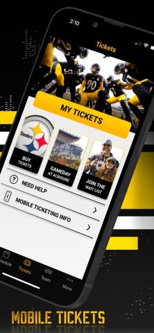 Pittsburgh Steelers для iOS — скриншот 4