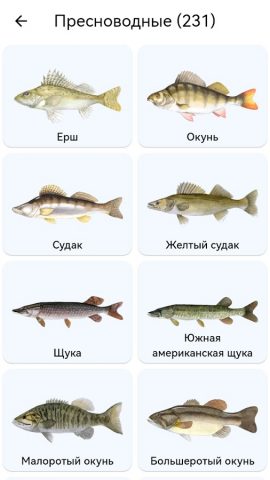 Планета Рыб для Android — скриншот 2