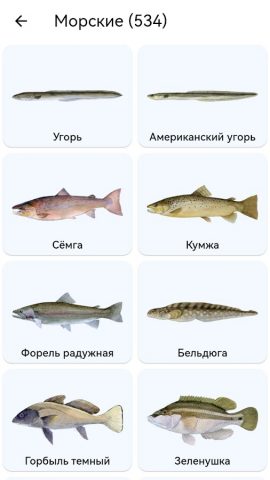 Планета Рыб для Android — скриншот 3