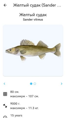Планета Рыб для Android — скриншот 4