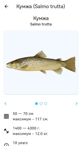 Планета Рыб для Android — скриншот 5