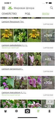 PlantNet для iOS — скриншот 4