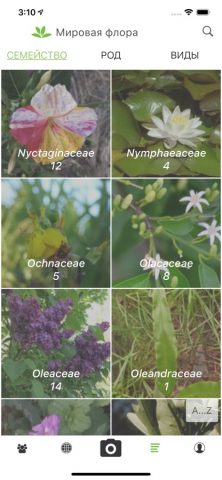 PlantNet для iOS — скриншот 5