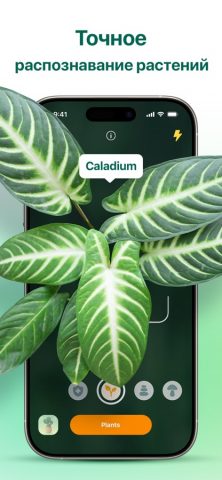 Plantum・Plant, Flower Scanner для iOS — скриншот 1