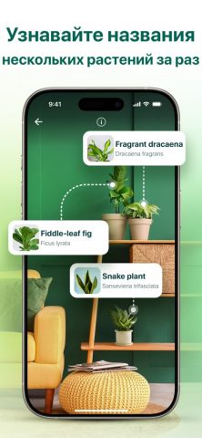Plantum・Plant, Flower Scanner для iOS — скриншот 4