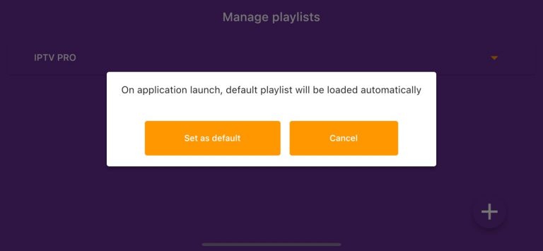 Playlist editor & IPTV Player для iOS — скриншот 4
