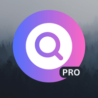 Ple Browser — Ultra Secure для iOS