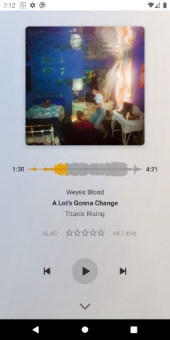 Plexamp — скриншот 5