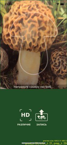 По грибы для iOS — скриншот 2