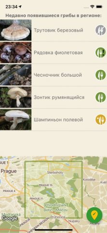 По грибы для iOS — скриншот 4