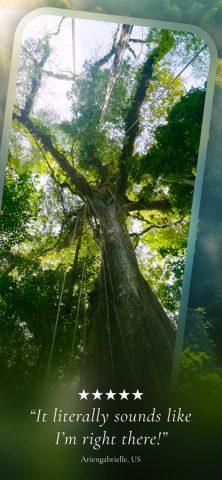 Portal — Escape Into Nature для iOS — скриншот 5