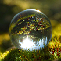 Прирожденный гадалка для Android