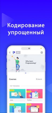 Programming:Python, HTML, Java для iOS — скриншот 1