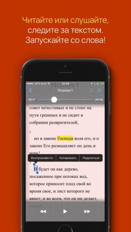 Псалтирь на русском для iOS — скриншот 2