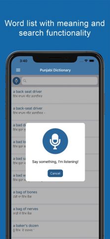 Punjabi Dictionary &Translator для iOS — скриншот 2