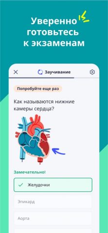 Quizlet для iOS — скриншот 3