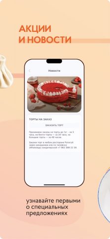 Рататуй Family для iOS — скриншот 4