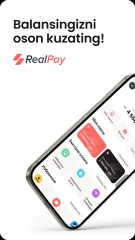 RealPay для Android — скриншот 1