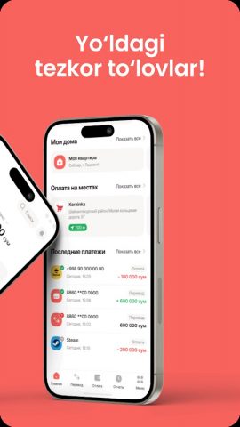 RealPay для Android — скриншот 2
