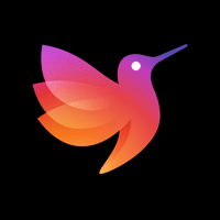 Редактор Сторис: Шаблоны для iOS