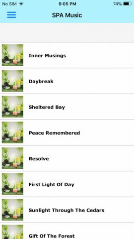 Relaxing Music Collection для iOS — скриншот 2