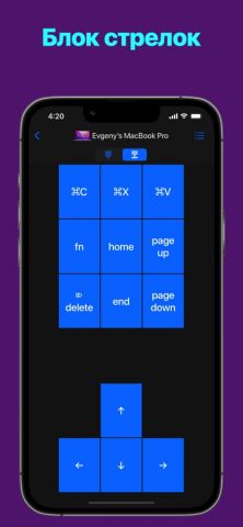 Remote KeyPad and NumPad Pro для iOS — скриншот 2