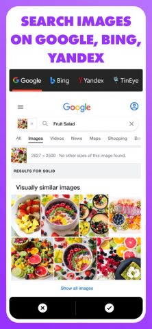 Reverse — Image Search для iOS — скриншот 2