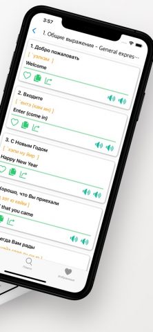 Ru-En разговорник для iOS — скриншот 2