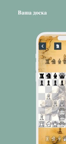 Шахматы (Настольная игра) для iOS — скриншот 4