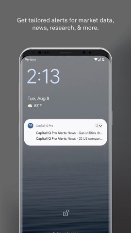S&P Capital IQ Pro для Android — скриншот 5