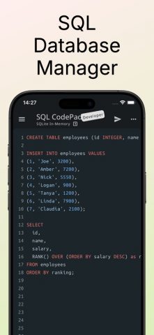 SQL Database Manager DB Client — скриншот 1