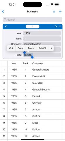 SQLite-Pro для iOS — скриншот 2