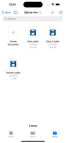 SQLite-Pro для iOS — скриншот 4